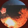 Profilbild von muteb alnami