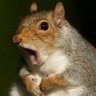 Flippers79_MGL's profile picture