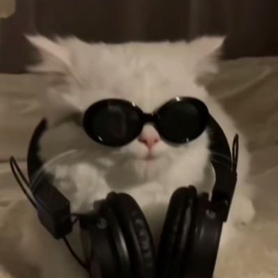 imkittenluver's profile picture