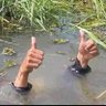 thumbs up dave profil fotoğrafı