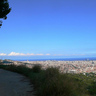 willowbarcelona profil fotoğrafı