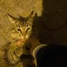 Profilbild von M