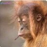Christopher burke's profile picture