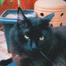 valei-me profil fotoğrafı