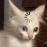 rara profil fotoğrafı