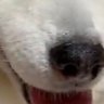 hiro 🧡🐺と🦴共に笑顔でいる！ 的头像