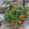 Фото профиля tereguese@