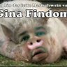 Ich bin Lady Ginas Zahlsau! 📯's profile picture
