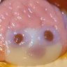 Фото профиля 𝙺𝚊𝚠𝚊𝚒𝚐𝚎𝚗𝚘𝚗𝚊𝚒𝚞𝚝𝚊🍤