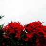 Pritam Ghosh profil fotoğrafı