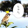 ちゅん。's profile picture