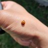 ArbiterGenosa profil fotoğrafı