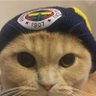 Anl🇹🇷🇳🇴🇷🇺's profile picture