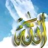 Abd Alsaeed's profile picture