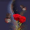 ÁC 🦋 22🇧🇷 profil fotoğrafı