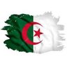 Profilbild von أحمد بن سعيد
