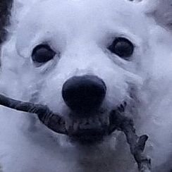 Hey_A_Cubed's profile picture