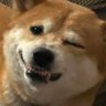 JIREX's profile picture