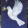 Peace World's profile picture
