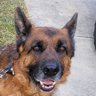 Profilbild von Maximus A.
