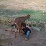 خليل profil fotoğrafı