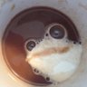 紅蛙觀察者IV's profile picture