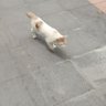 passsss 的头像