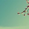 小州的交易笔记 profil fotoğrafı