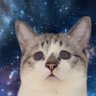 Profilbild von ぴえん猫ミント