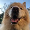 Sam Kienzle's profile picture