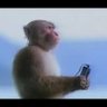 e. profil fotoğrafı