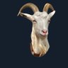 ちゃんおか profil fotoğrafı