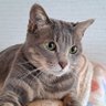ゆきまろ profil fotoğrafı