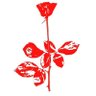 DepecheJ's profile picture