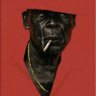 Comrade Black profil fotoğrafı