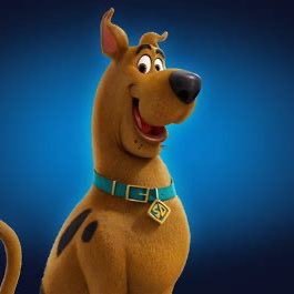 SageOfScoob's profile picture