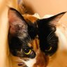 るーたん's profile picture