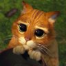 Фото профиля MVC