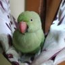 Profilbild von Chid_chida