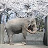 ななみん profil fotoğrafı