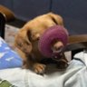 ふなミ 的头像