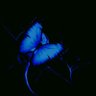 Barb m's profile picture