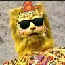 Profilbild von 王江浩