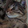 Cuántos?🍉's profile picture