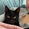 MissMariCler profil fotoğrafı