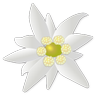 Edelweiss 🕊️'s profile picture