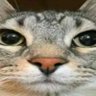 Profilbild von Andrzej