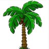 Palm Tree 11 的头像