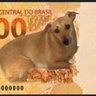 Naná ☭🏳️🌈🇧🇷⭐🇵🇸🇮🇶🇱🇹's profile picture