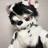 Dynede's profile picture